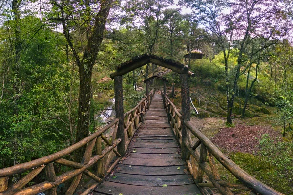 Comité de Ecología
