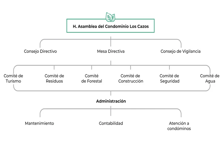 Comite esquema